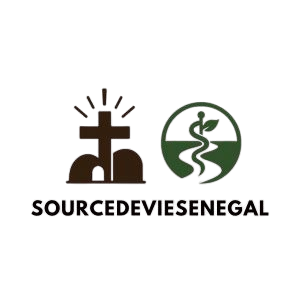 CENTRE MEDICO-SOCIAL SOURCE DE VIE SENEGAL